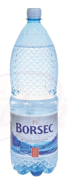 [19941] BORSEC - Eau plate 2L